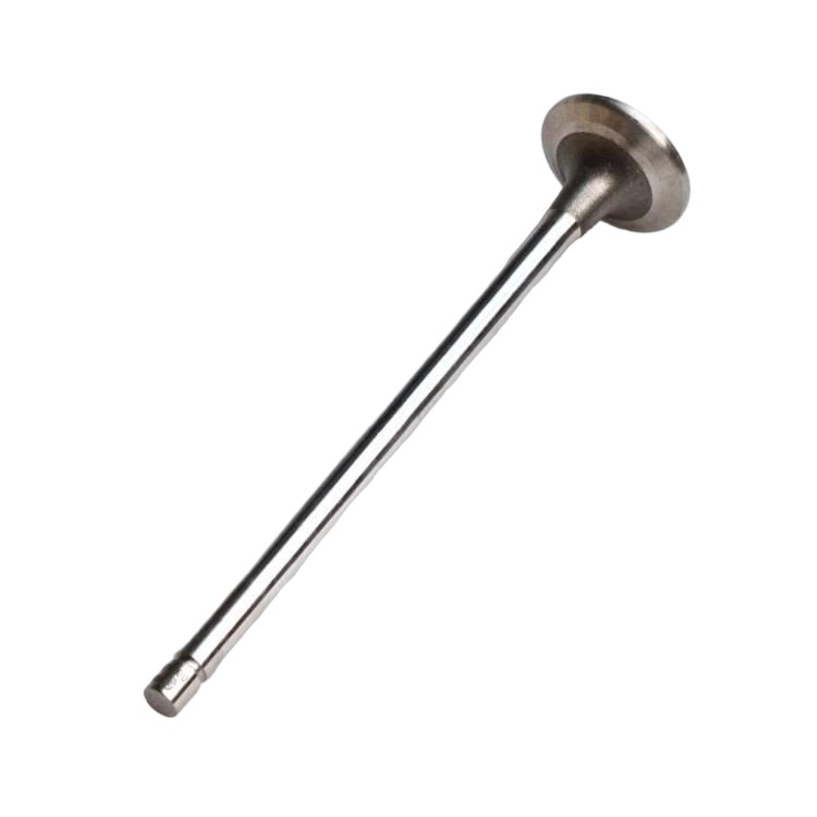 3417779 Exhaust Valve 