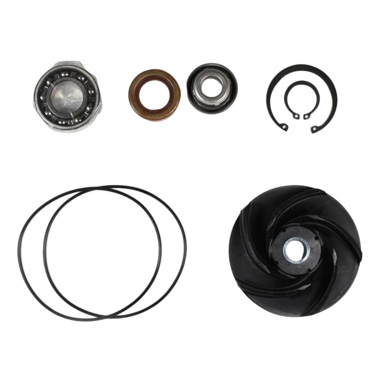 4024817 Water Pump Repair (minor) Kit 