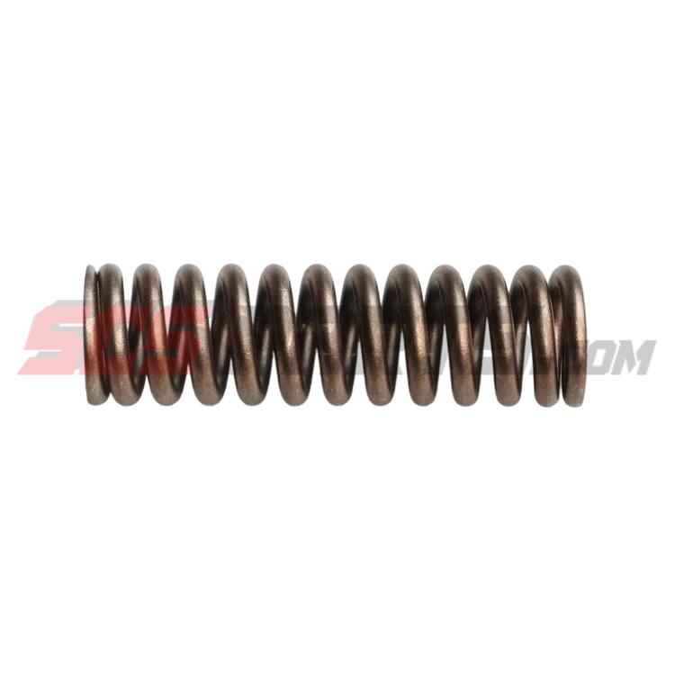 3895860 Valve Spring 