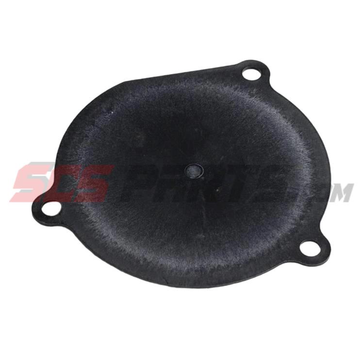 3882680 Gear Housing Plug 