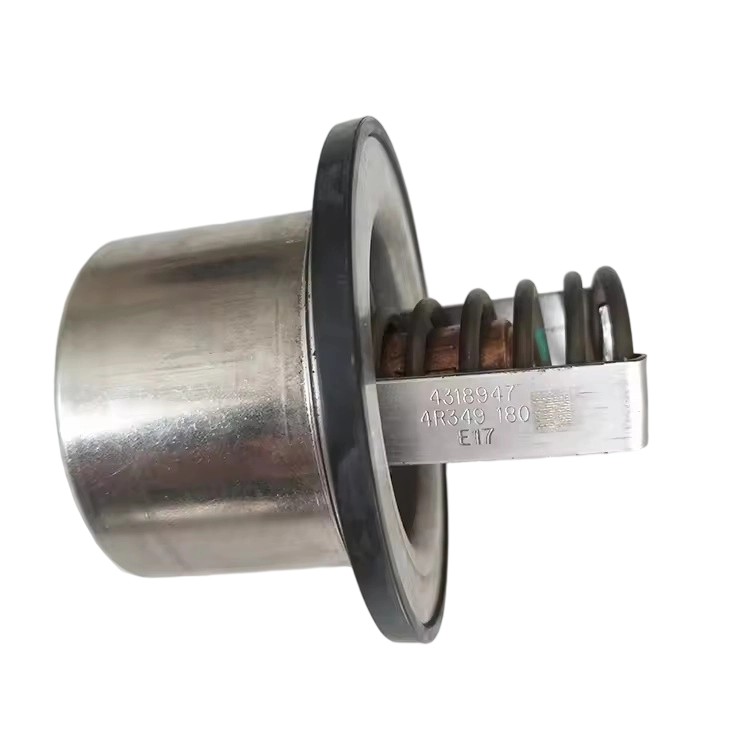 4318947 Thermostat 