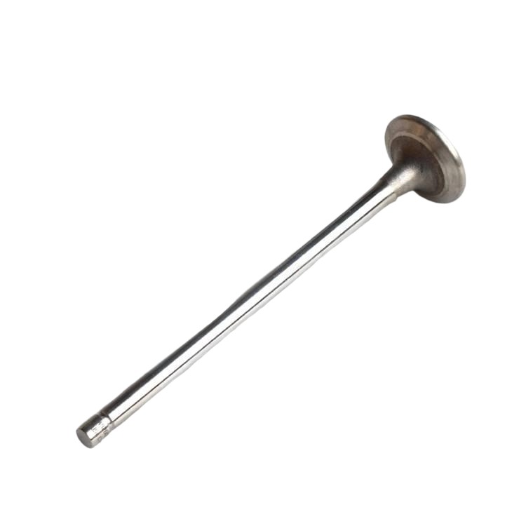 4926069 Intake Valve 