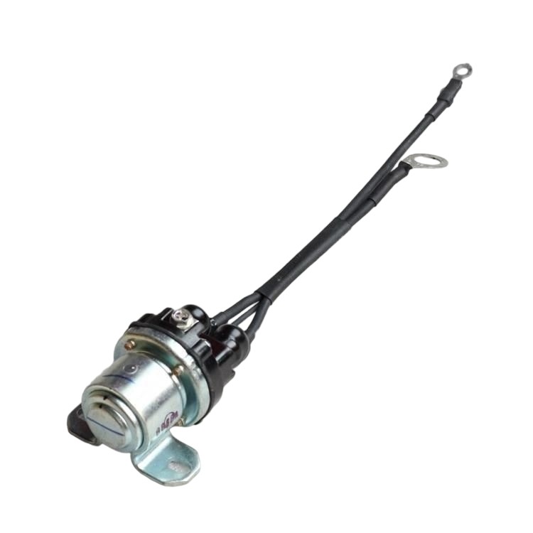 5269423 Magnetic Switch 