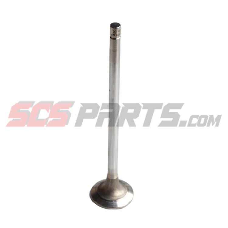 4926069 Intake Valve 