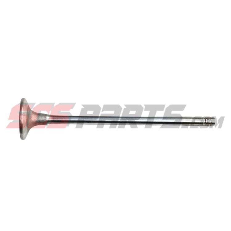 4926069 Intake Valve 