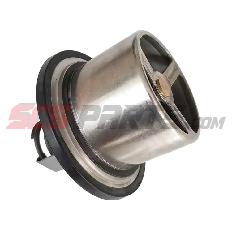 4318947 Thermostat 