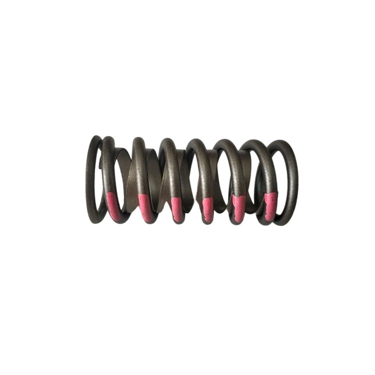 3916588 Valve Spring 