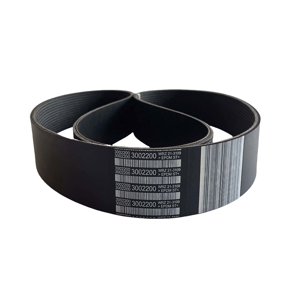 Cummins 3002200 V Ribbed Belt 