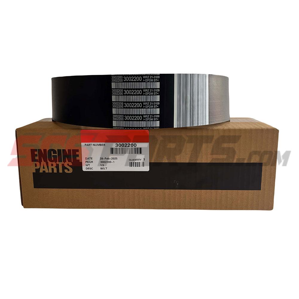 Cummins 3002200 V Ribbed Belt 