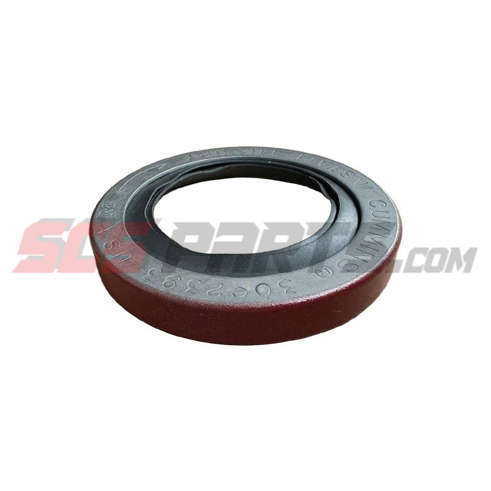 3062393 Oil Seal 