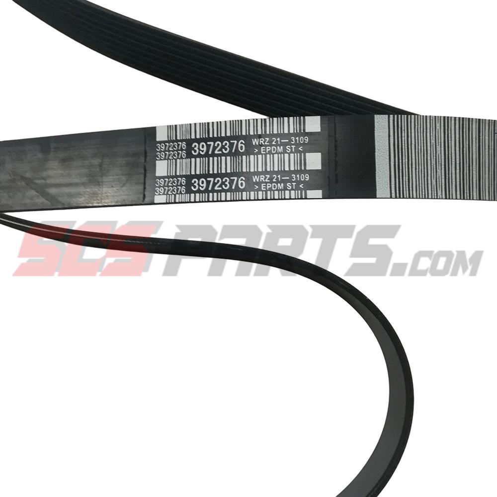 3972376 V Ribbed Belt 