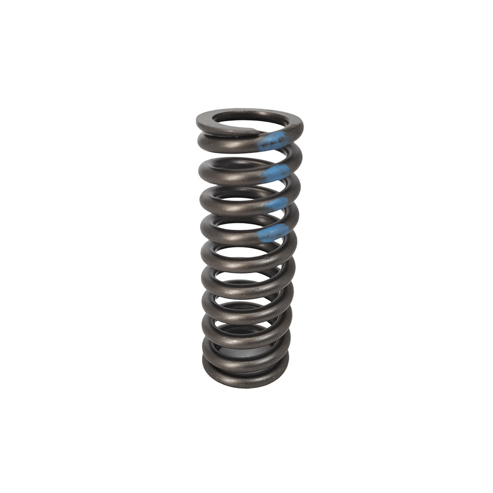 3681001 Valve Spring 