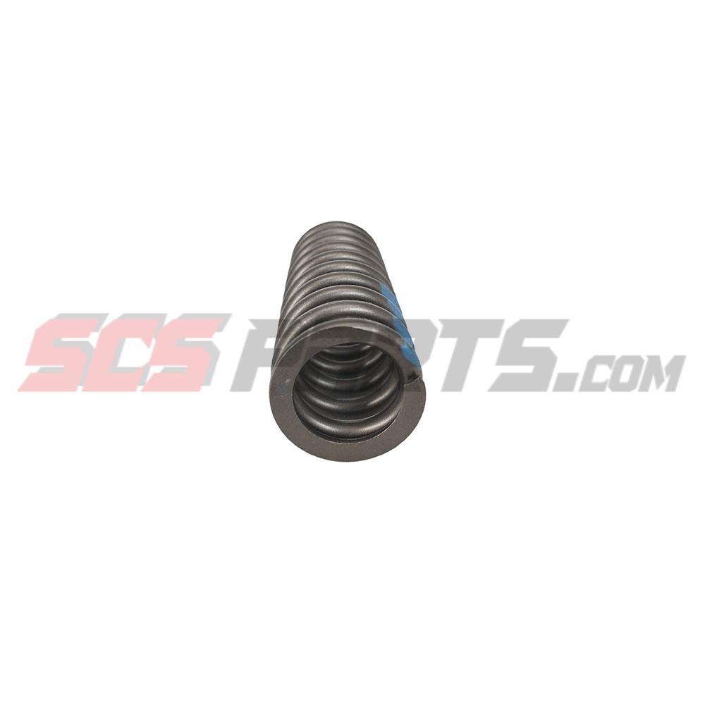 3681001 Valve Spring 