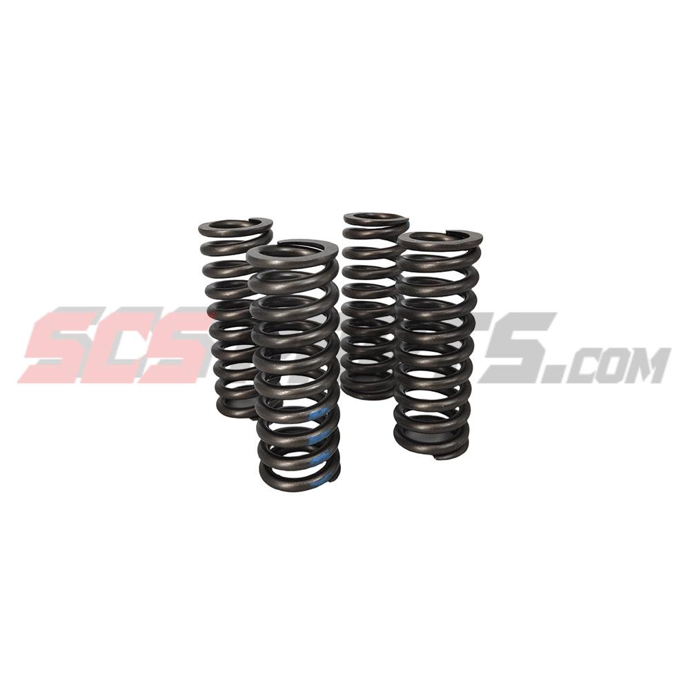 3681001 Valve Spring 