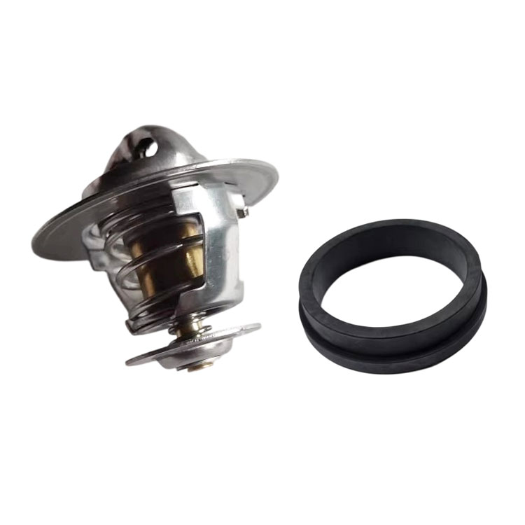 4930315 Thermostat 