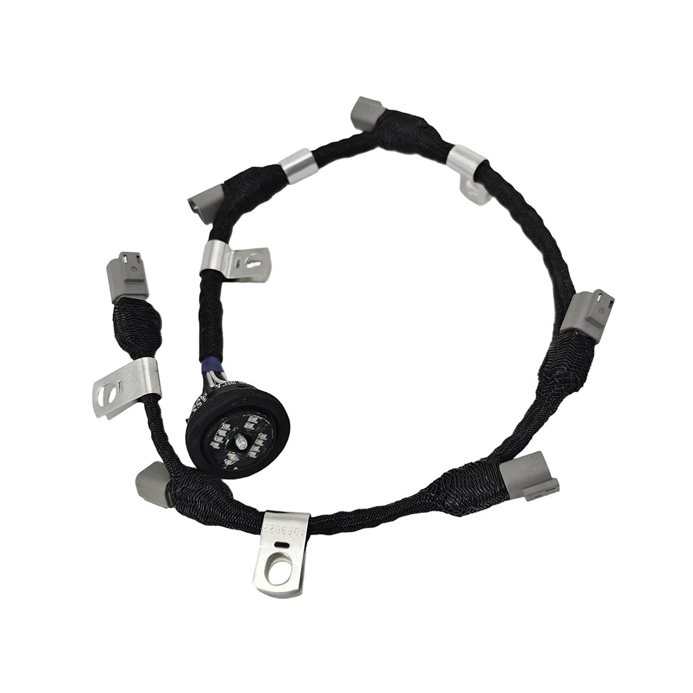 4022866 Wiring Harness 