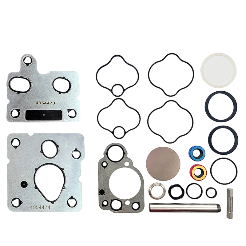 4954473 4954474 4089431 Fuel Pump Repair Kit 