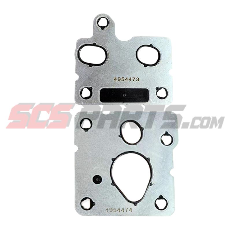 4954473 4954474 4089431 Fuel Pump Repair Kit 