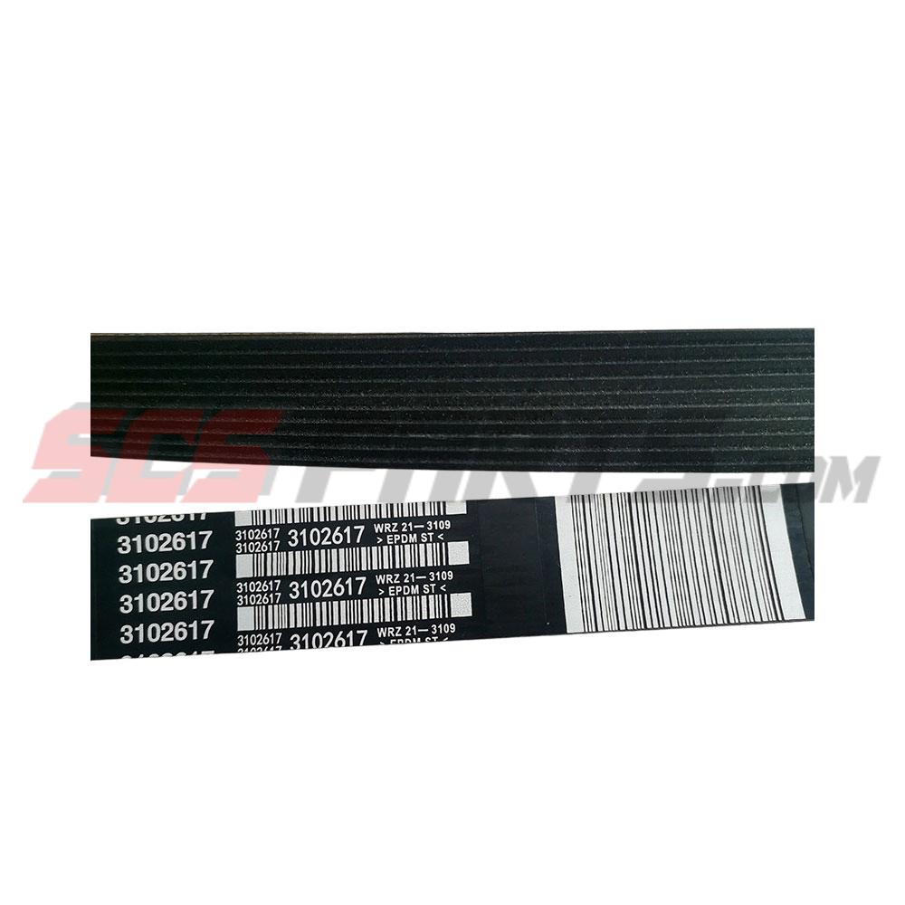 3102617 V Ribbed Belt 