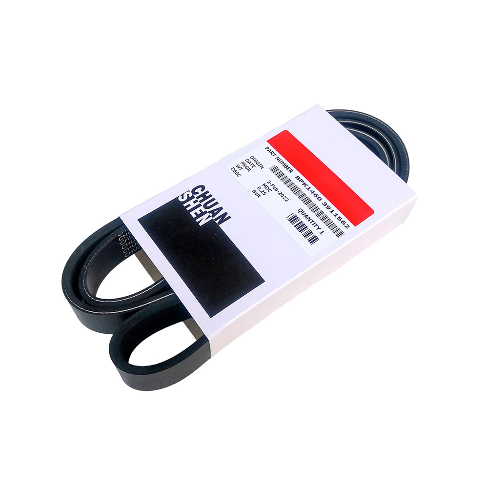 3911562 V Ribbed Belt 