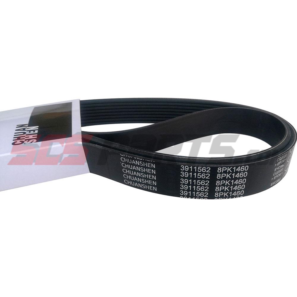 3911562 V Ribbed Belt 