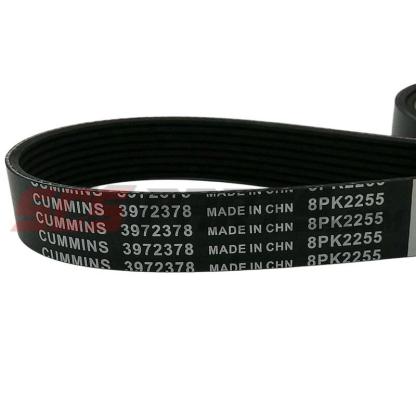 Cummins 3972378 V Ribbed Belt 