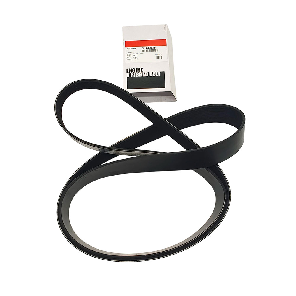 3106099 V Ribbed Belt 