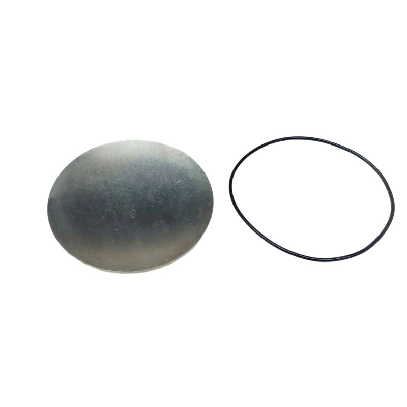 3901969 Expansion Plug 