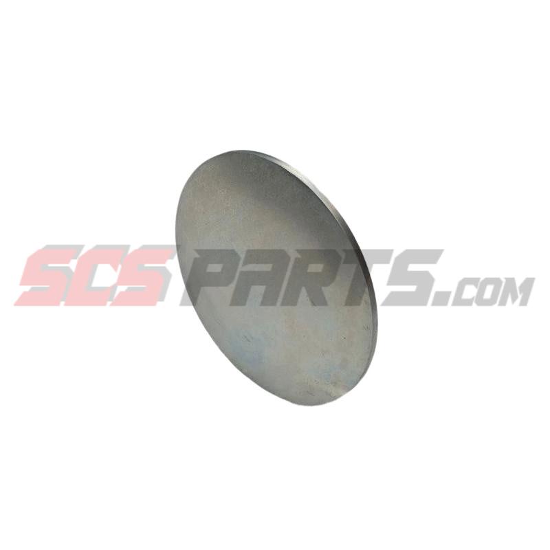 3901969 Expansion Plug 