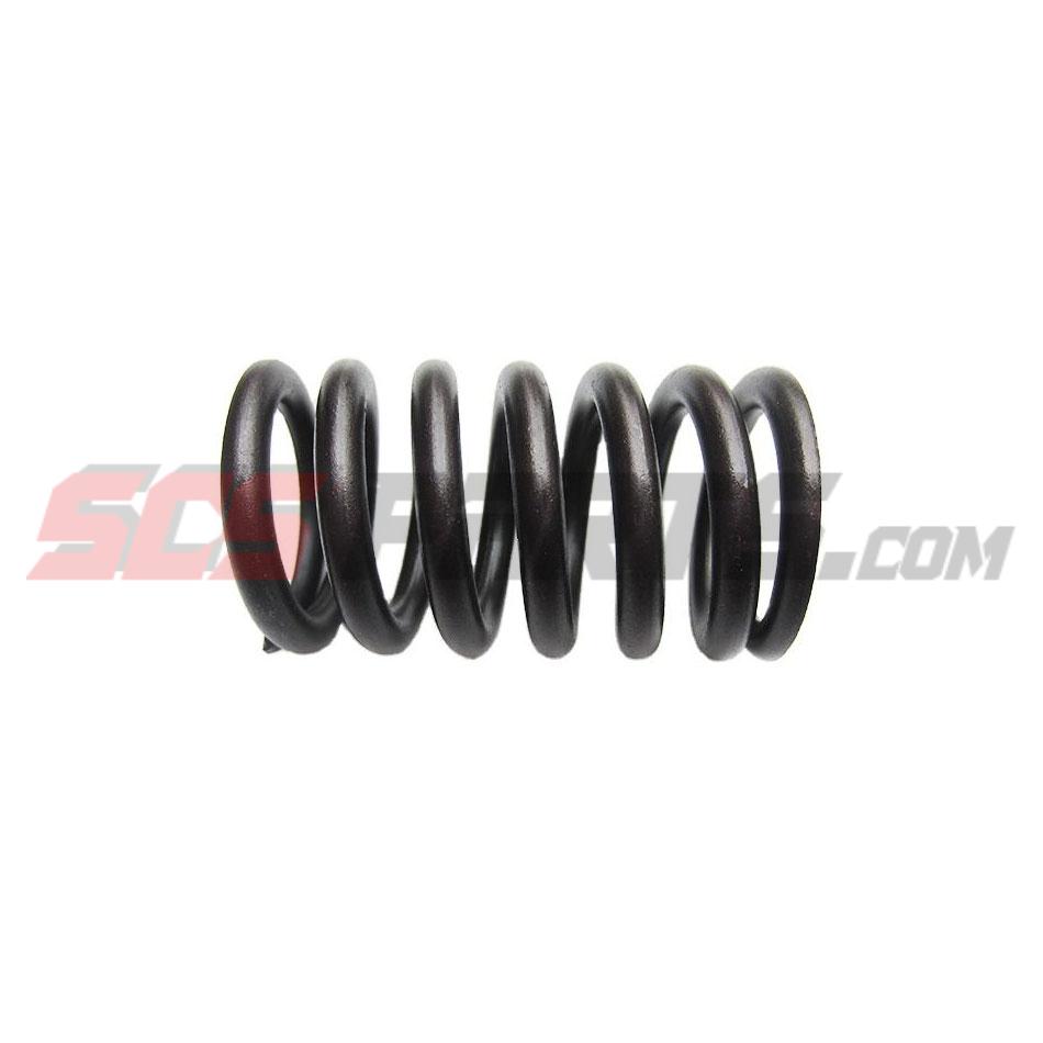 3906412 Valve Spring 