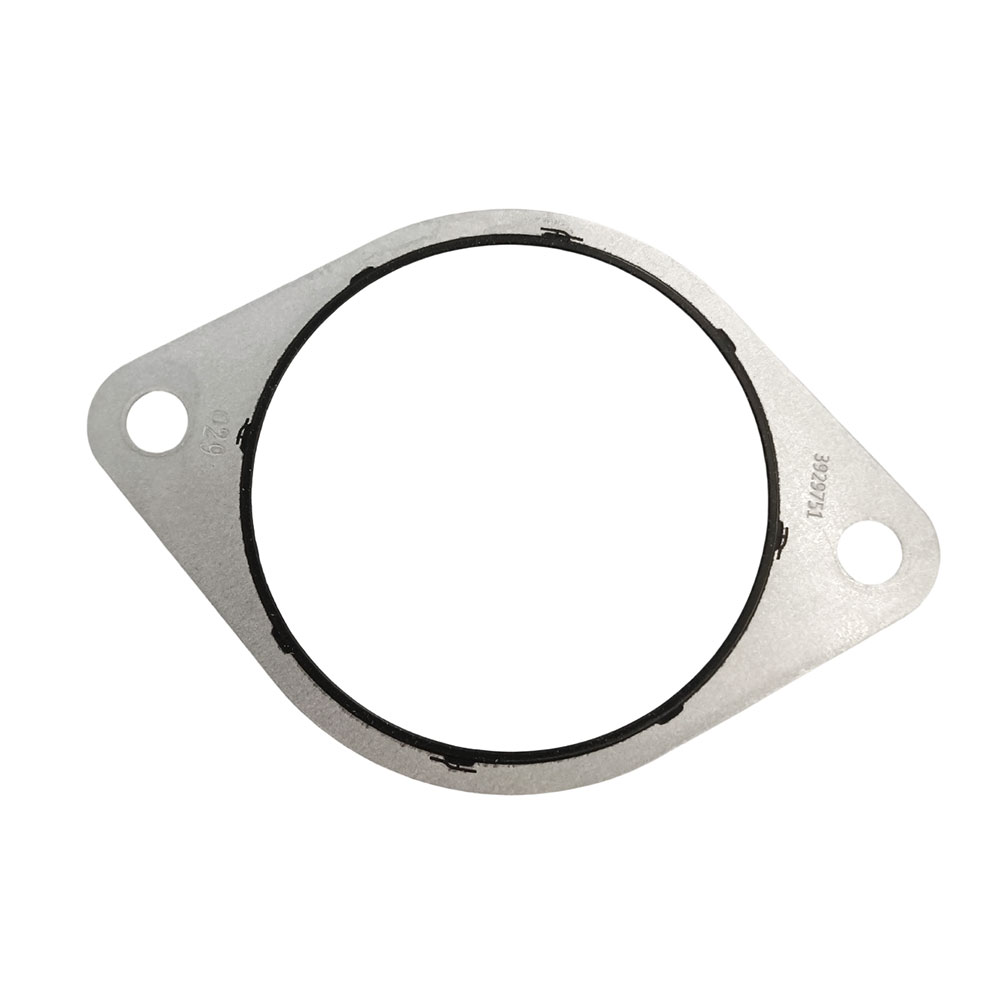 3929751 Accessory Drive Cover Gasket 
