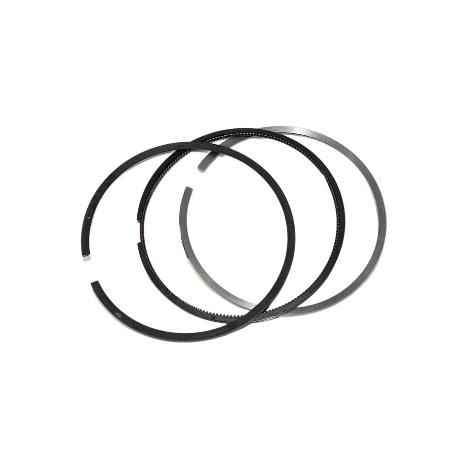 4089644 Piston Ring Set 