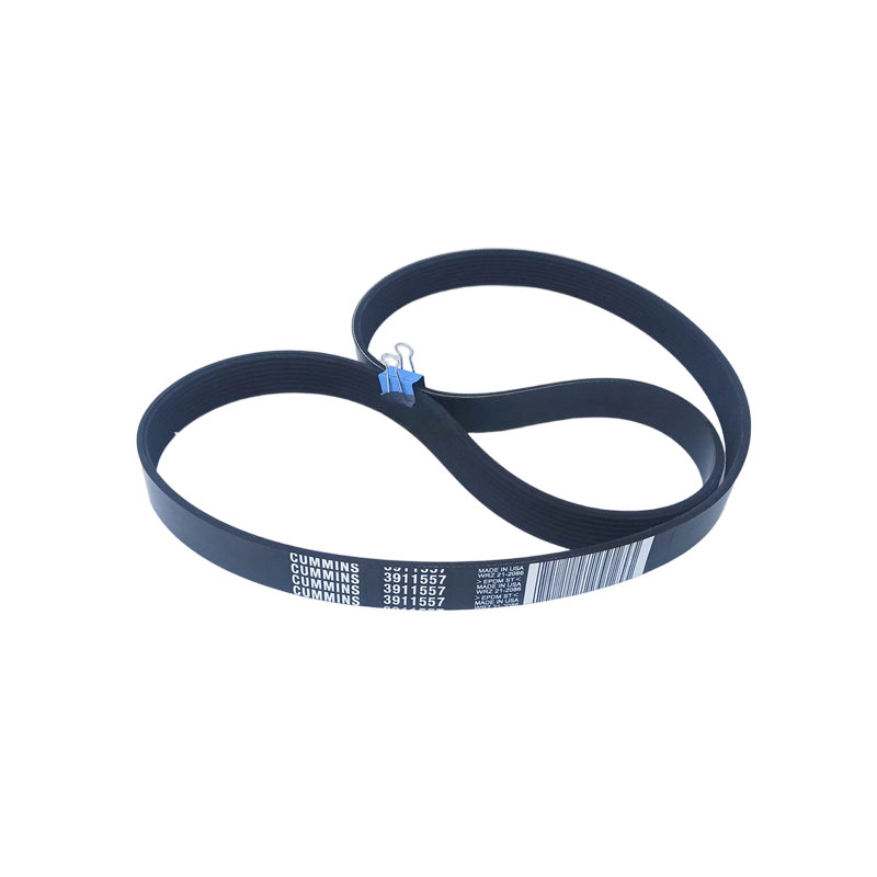 3911557 V Ribbed Belt for Cummins Engine 4B3.9 6B5.9