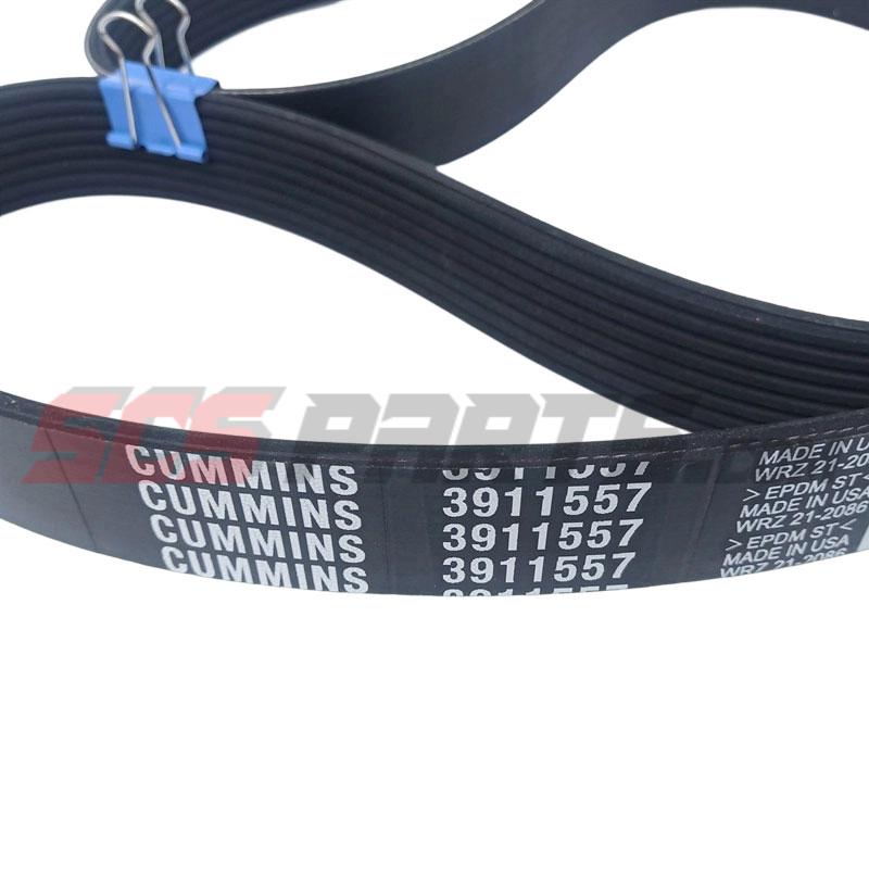 3911557 V Ribbed Belt for Cummins Engine 4B3.9 6B5.9