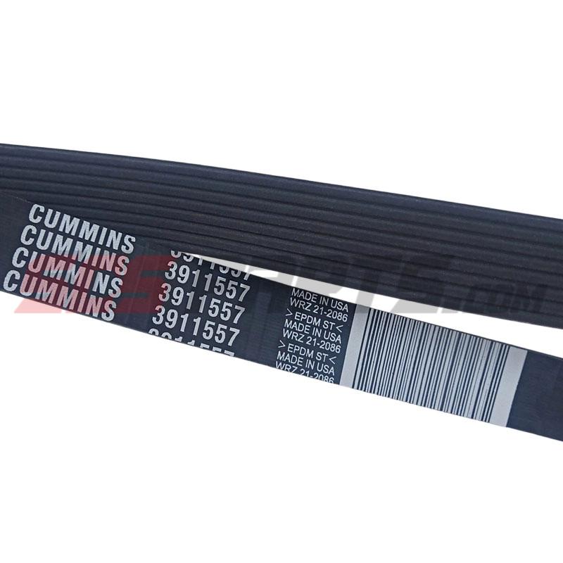 3911557 V Ribbed Belt for Cummins Engine 4B3.9 6B5.9