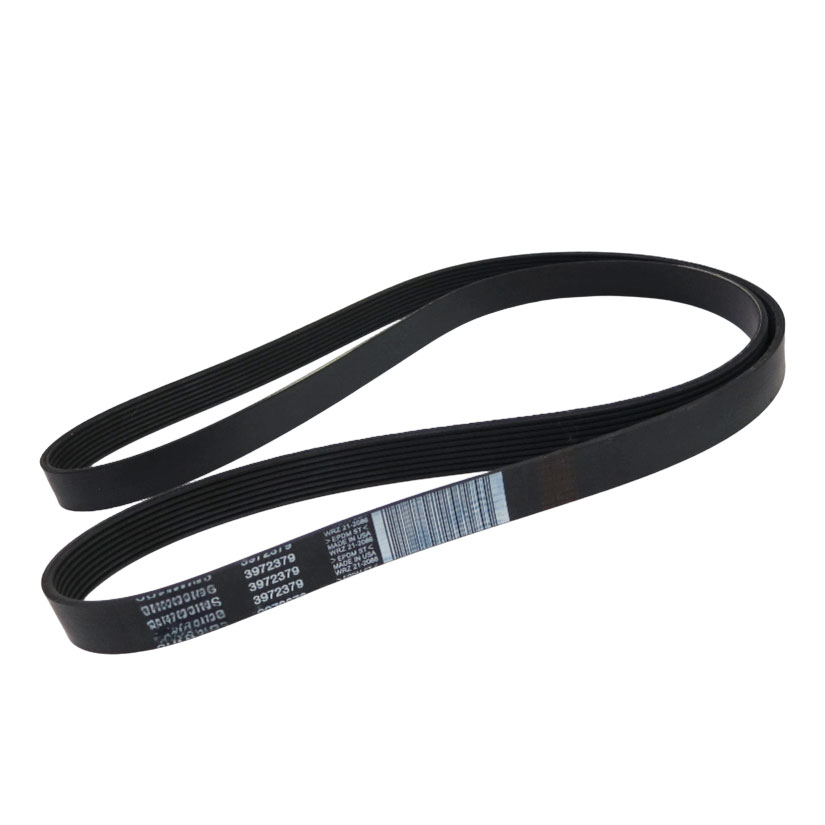 3972379 V Ribbed Belt 