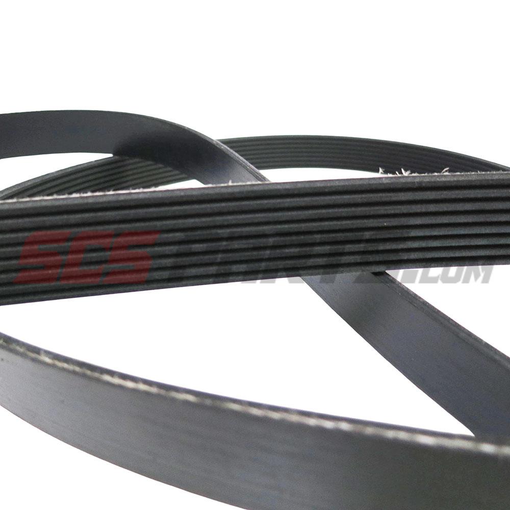 3972379 V Ribbed Belt 