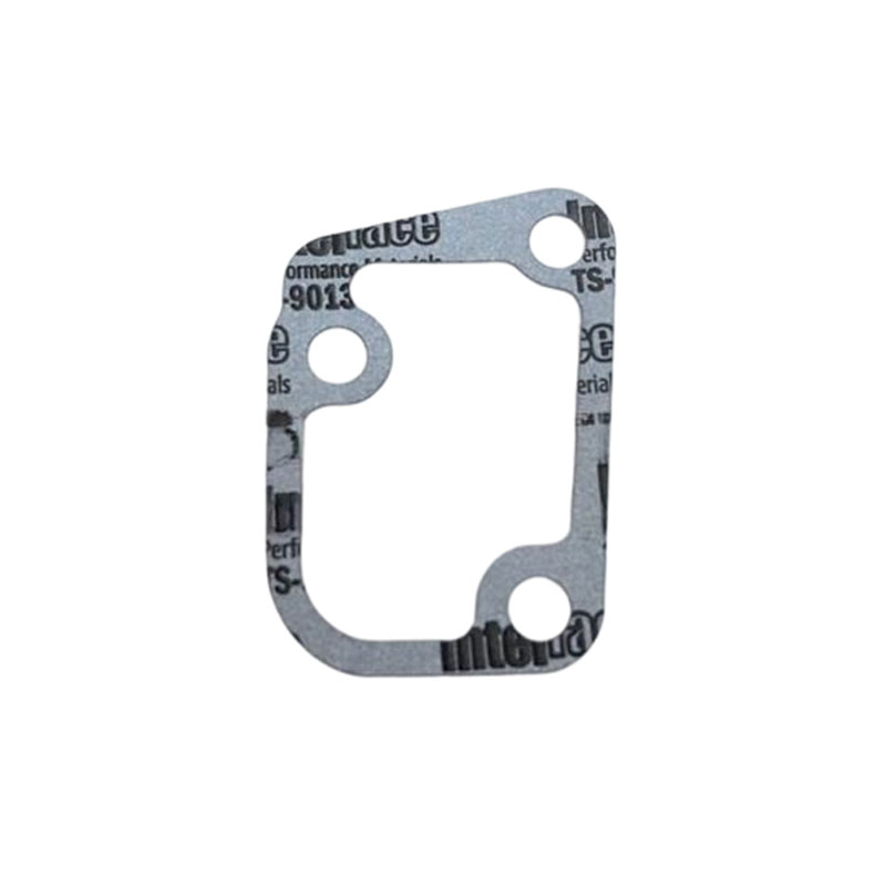 3093000 Bypass Valve Gasket 