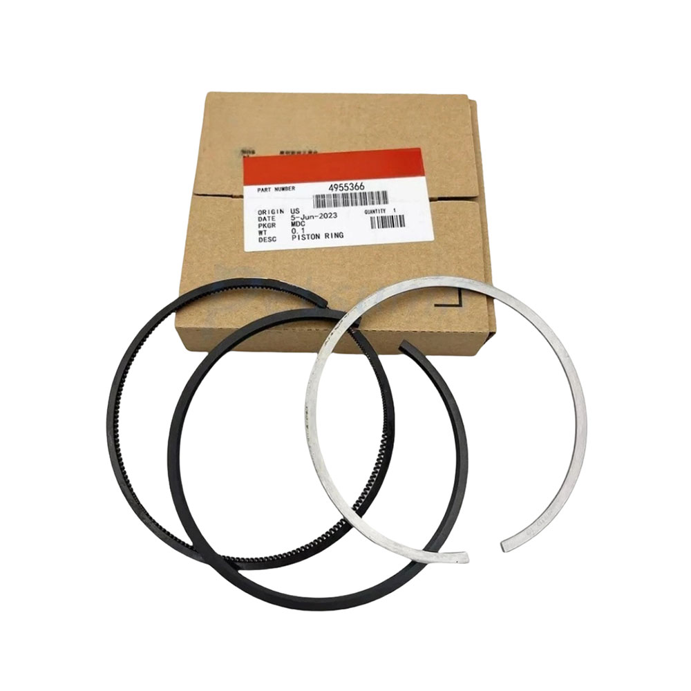4955366 Piston Ring Kit 