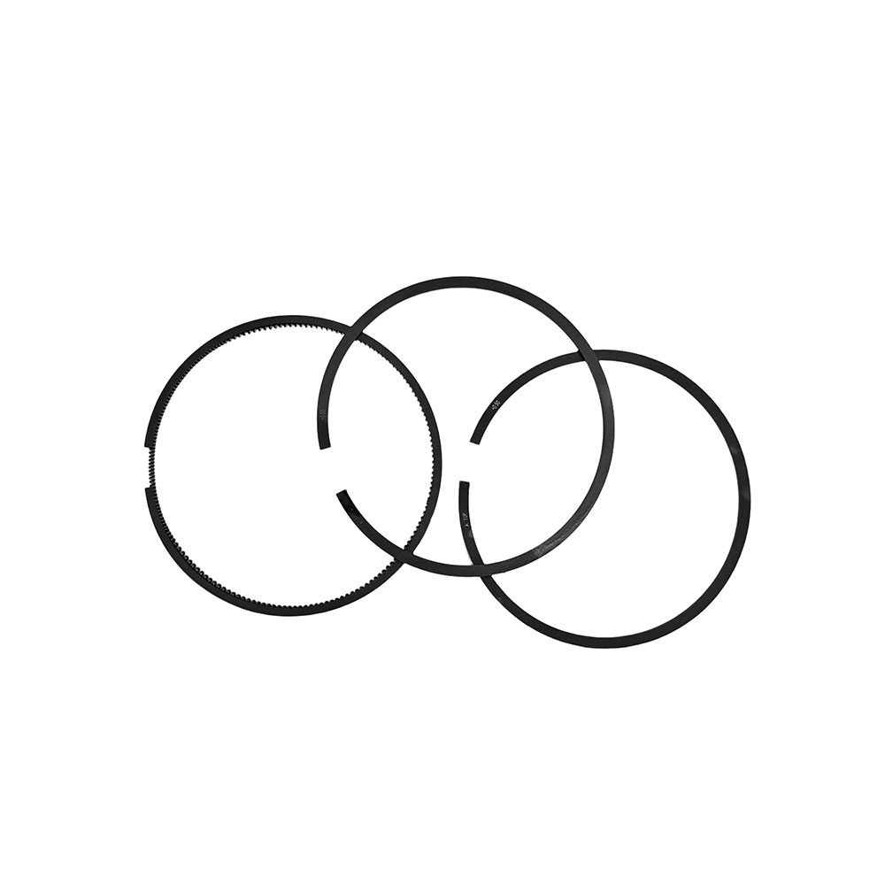 4955169 Piston Ring Kit 