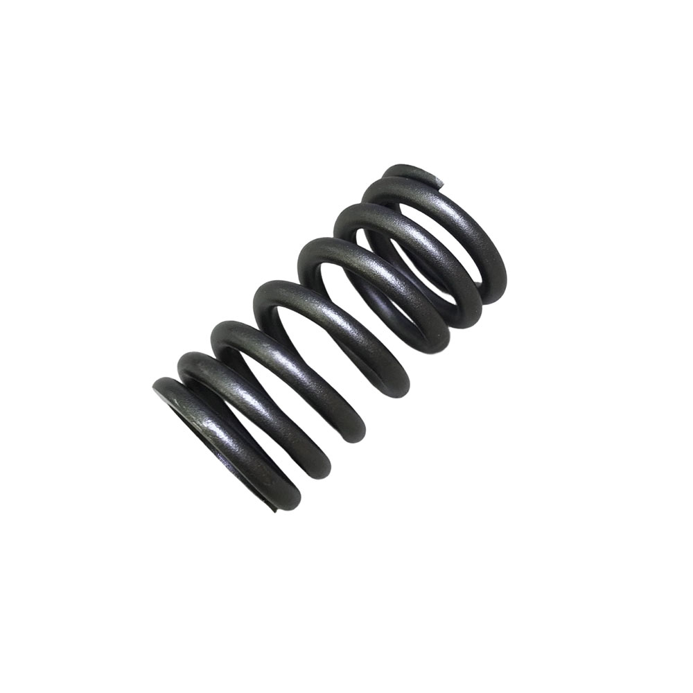 3926700 Valve Spring 