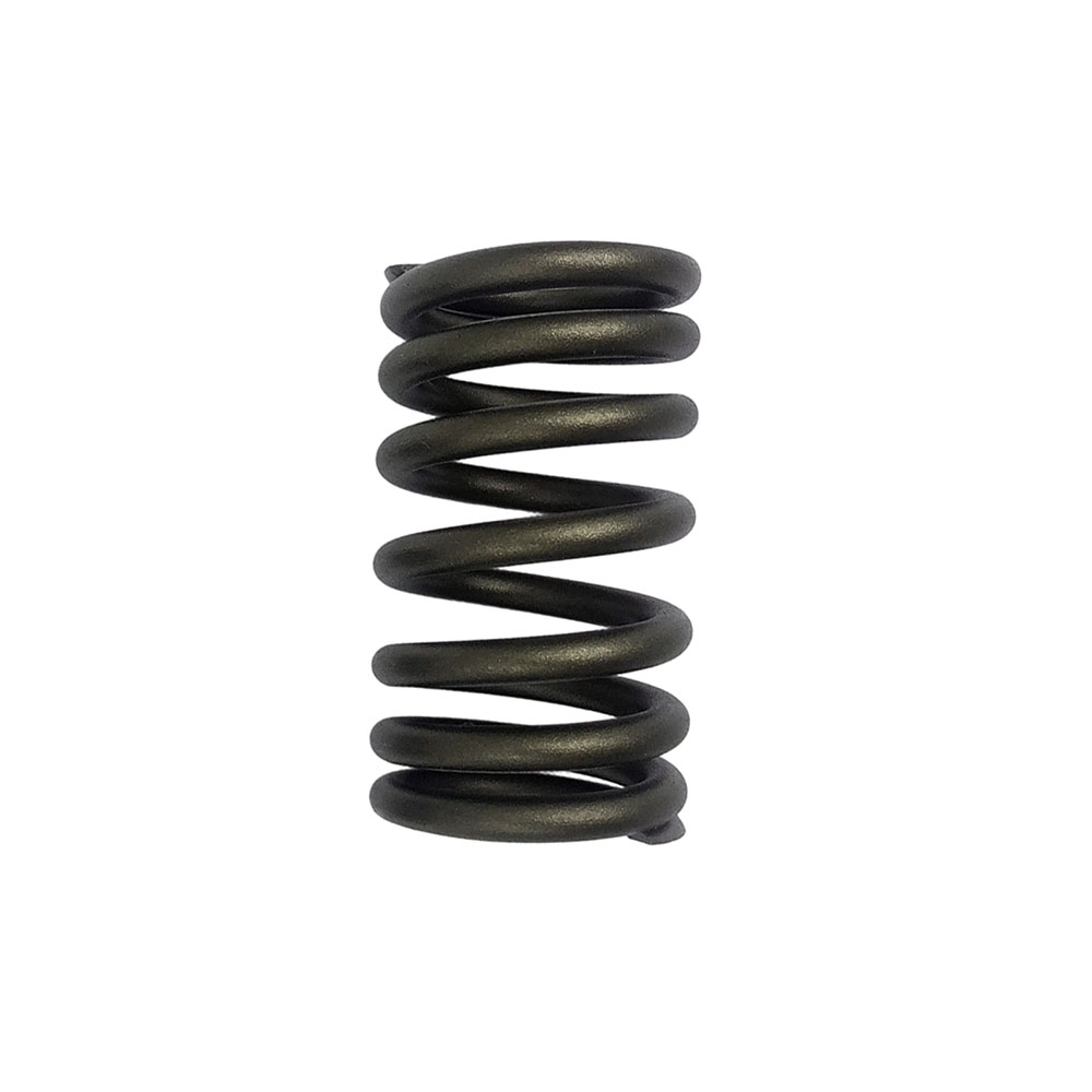 3916691 Valve Spring 