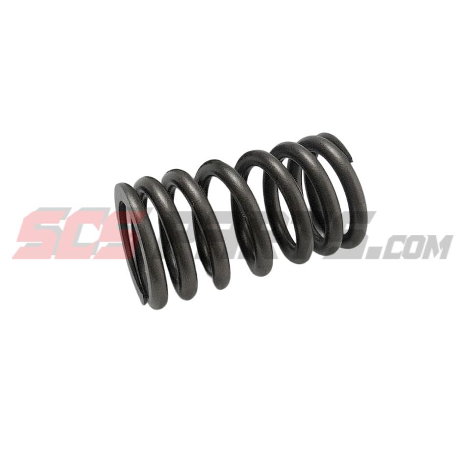 3916691 Valve Spring 