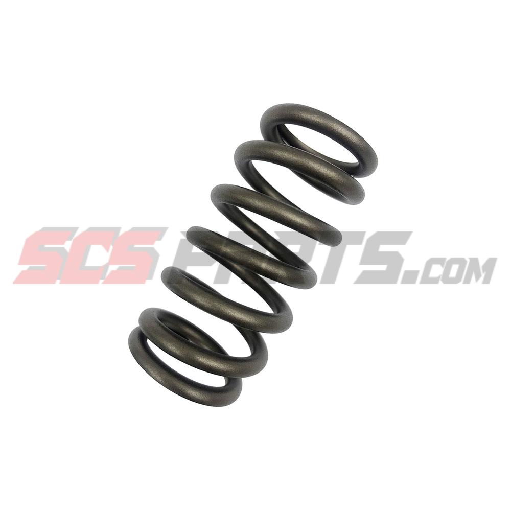 3916691 Valve Spring 