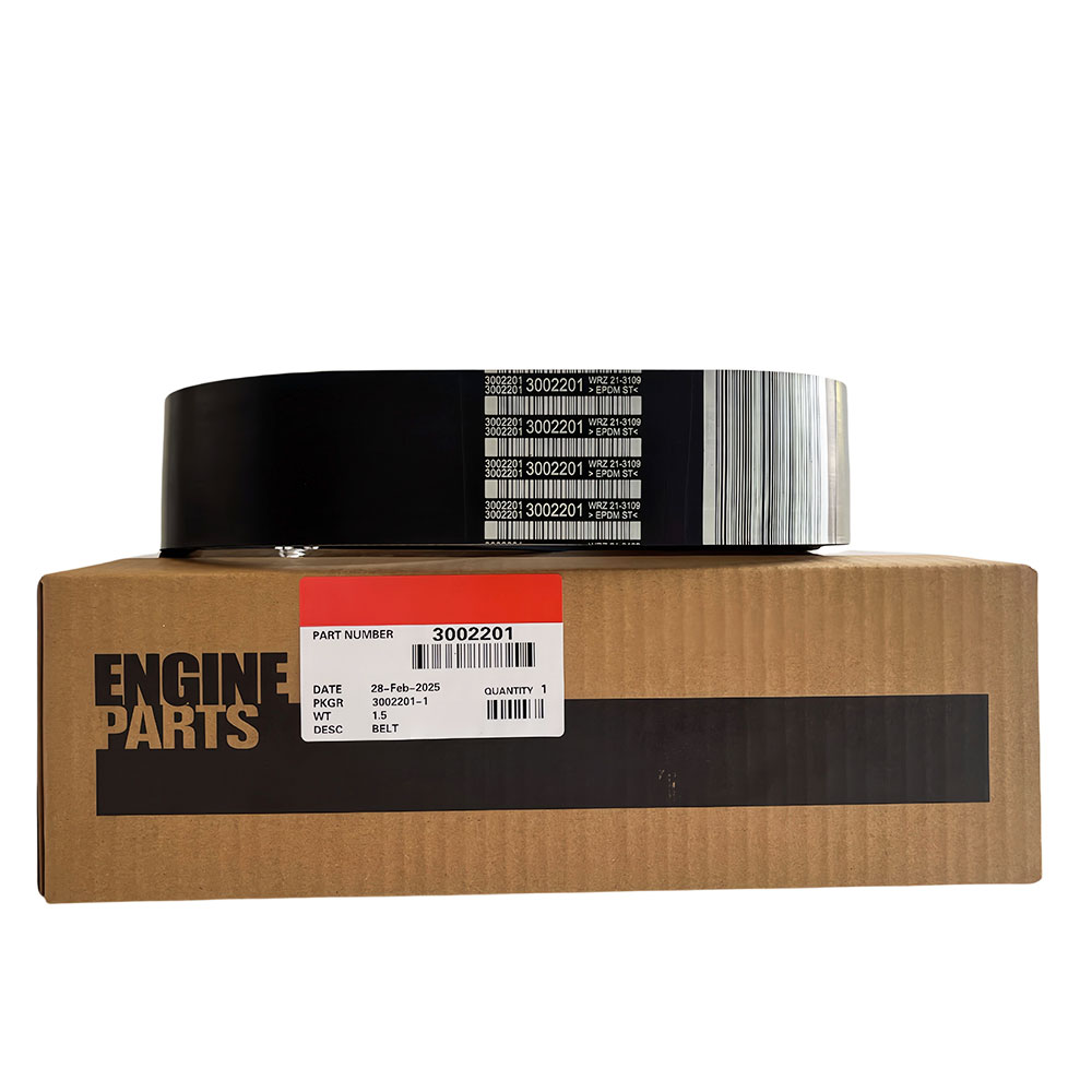 3002201 V Ribbed Belt 