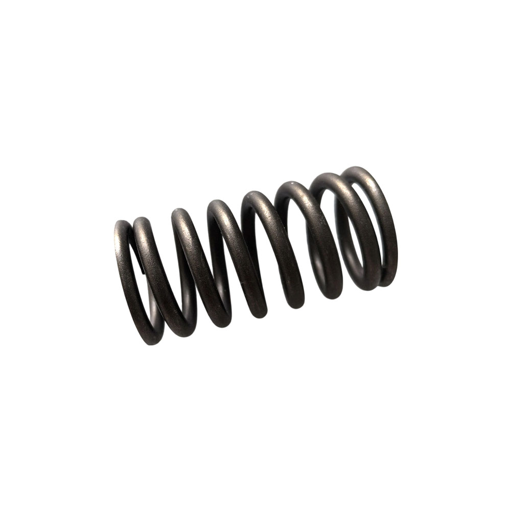 Cummins 3629006 Valve Spring 