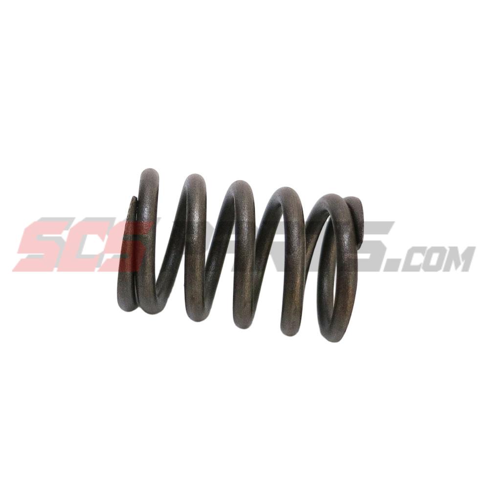 3643725 Valve Spring 