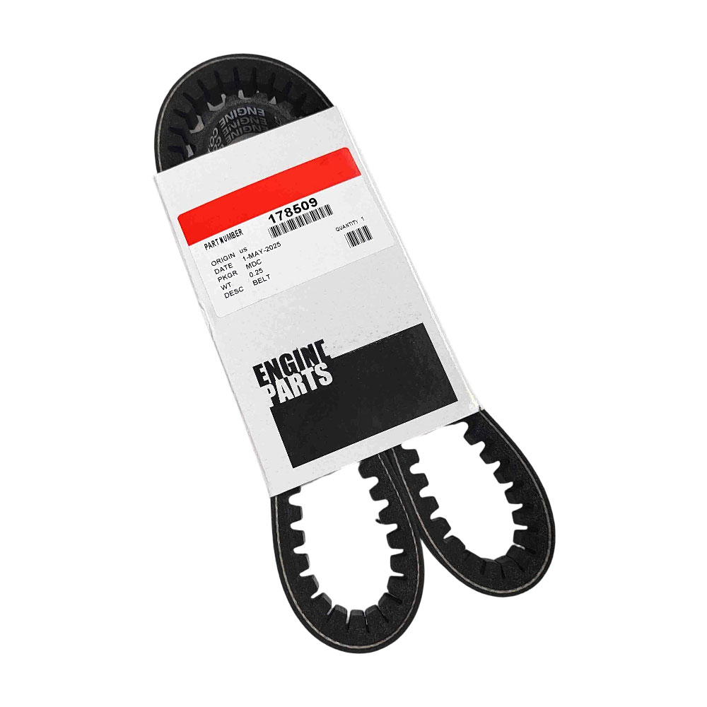 Cummins 178509 V Belt 