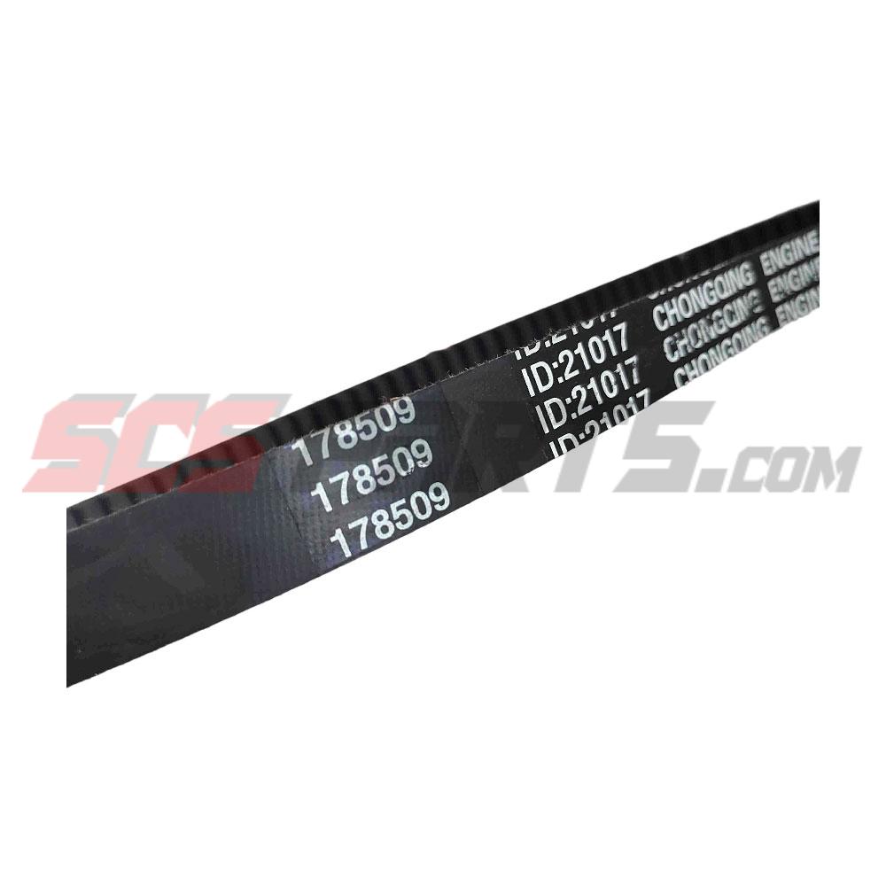 178509 V Belt 