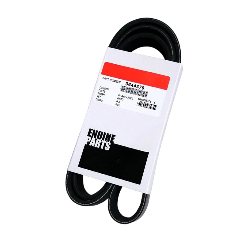 3644379 V Ribbed Belt 